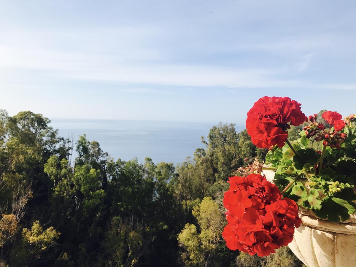 Hotel Villa Riis Taormina Zewnętrze zdjęcie